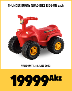 THUNDER BUGGY QUAD BIKE RIDE-ON each, 19999Akz