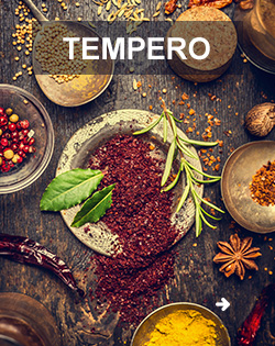 TEMPERO TEMPERO