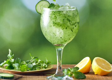 Coquetel de Gin com Pepino e Menta