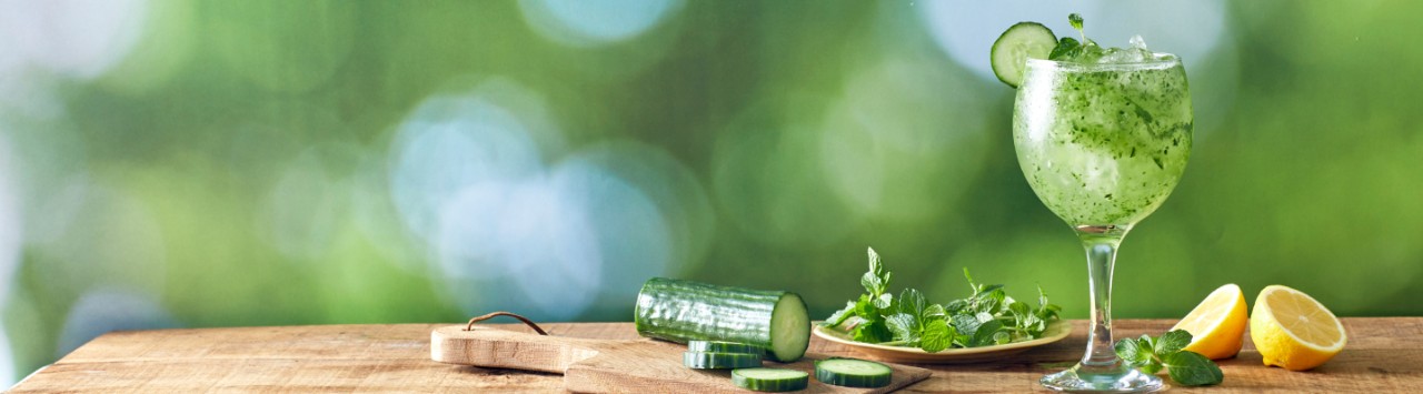 Coquetel de Gin com Pepino e Menta